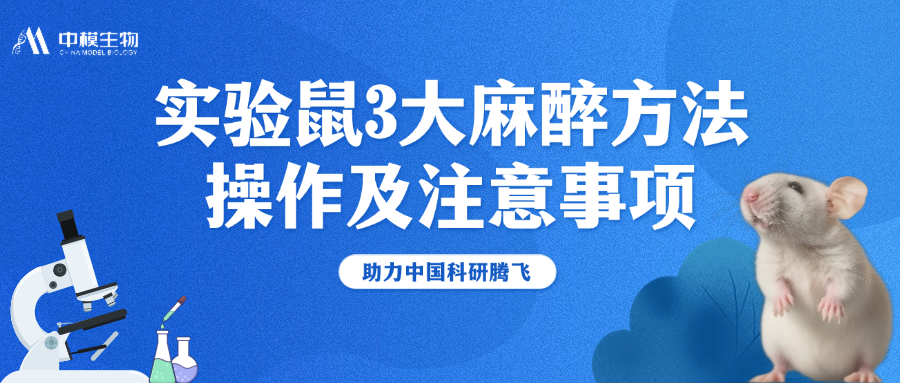 小白鼠3大麻醉方式详解，助力动物实验顺利开展！