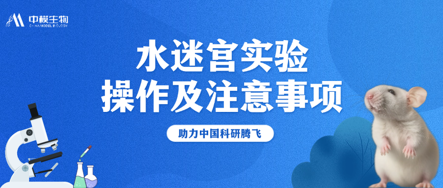 水迷宫实验超详解析