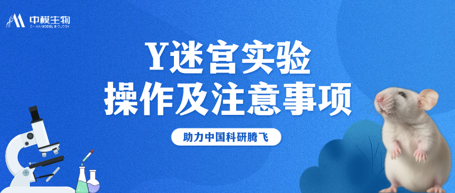 4大经典Y迷宫实验操作方法和分析指标来啦！