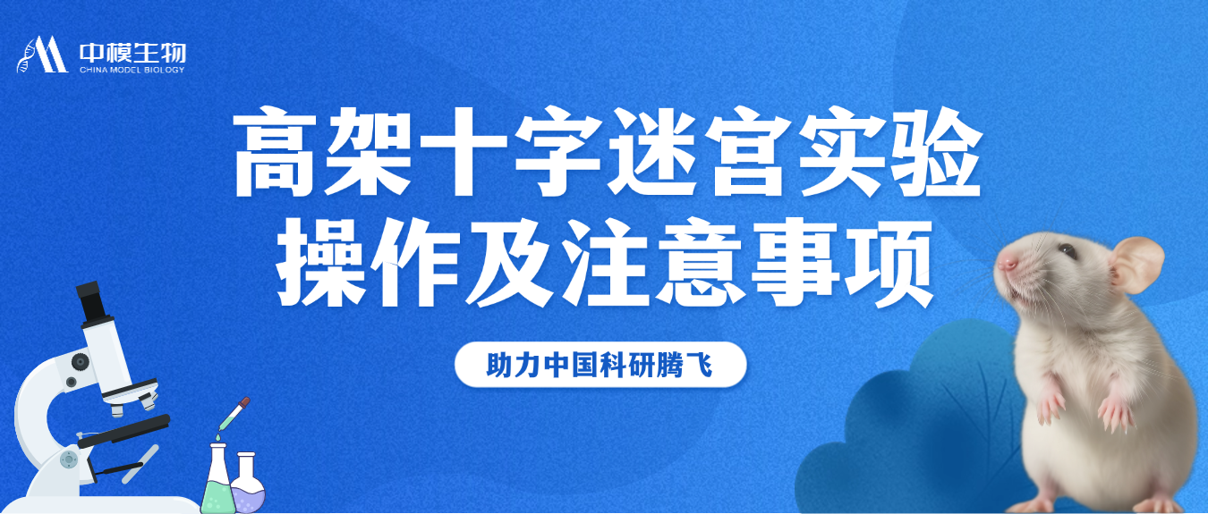  高架十字迷宫行为学实验操作步骤详解