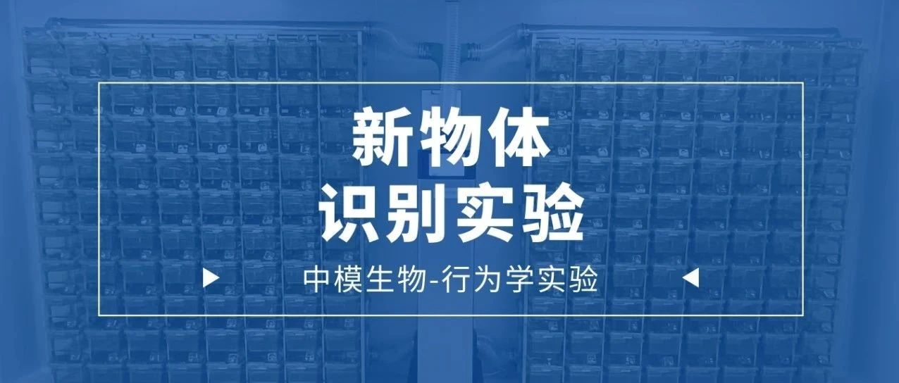 3类经典【新物体识别实验】操作方法和注意事项