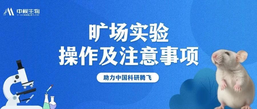 小白鼠也要走迷宫！旷场实验行为密码全解析