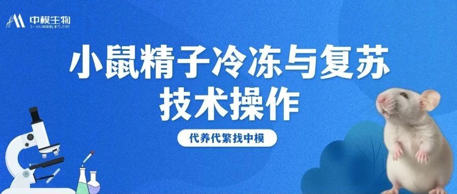 小鼠保种+品系急救，试试精子冷冻与复苏技术！