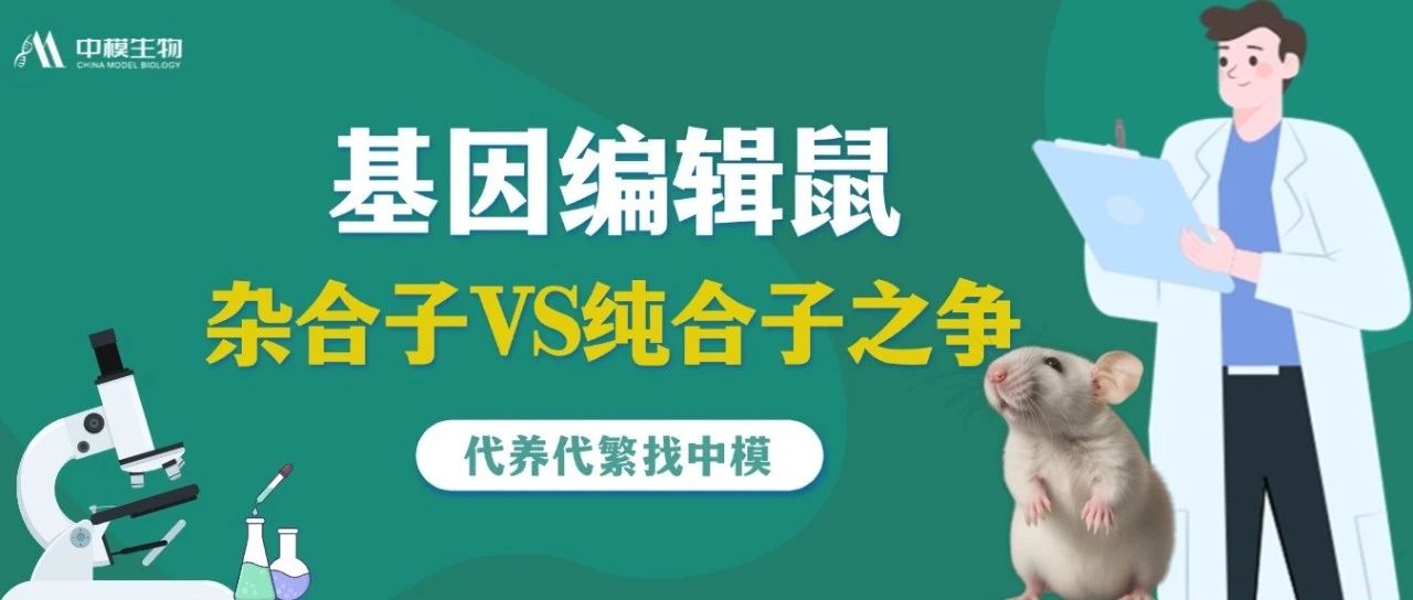 杂合子 vs 纯合子怎么选？基因编辑鼠实验前需要搞懂4个问题！