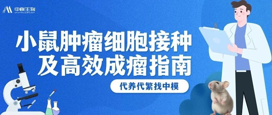 牢记肿瘤细胞接种4步骤，让你的模型高效成瘤