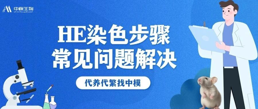 漂亮的HE染色千篇一律，糟糕的……HE染色全攻略来了！