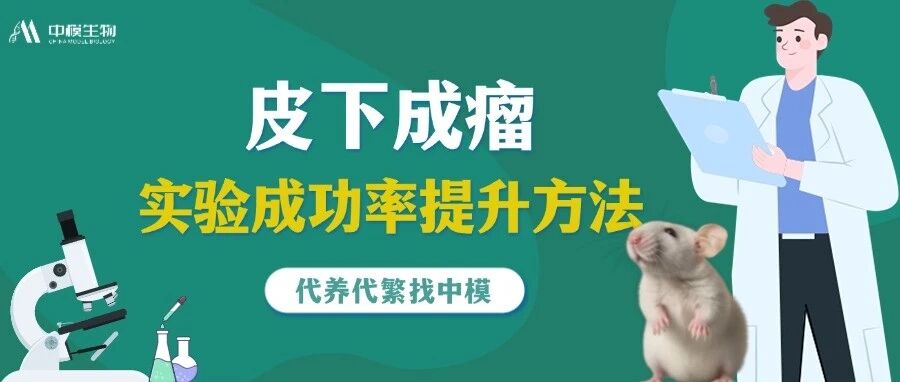 自查清单 | 皮下成瘤总是不成功，这5个问题及操作流程你处理对了吗？