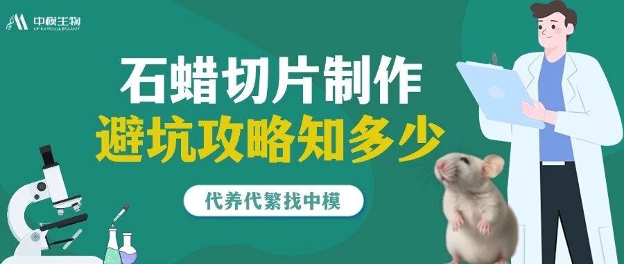 你不知道的9个冷知识！石蜡切片制作关键环节揭秘！